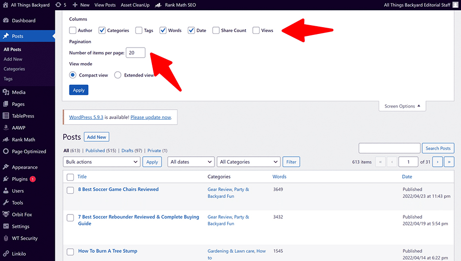 WordPress Dashboard Posts