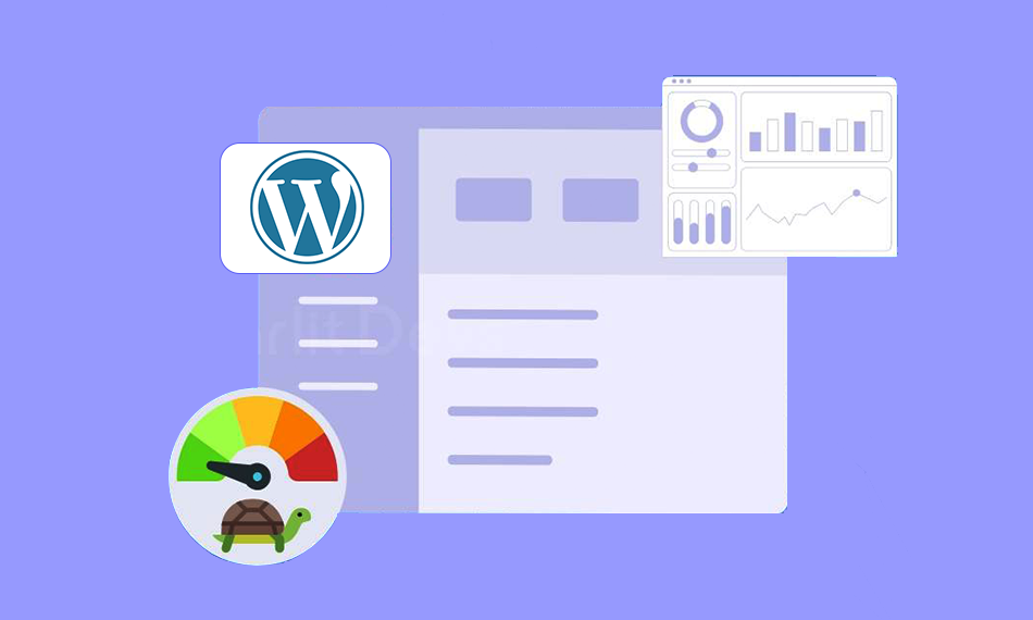 Why WordPress Database get Slower