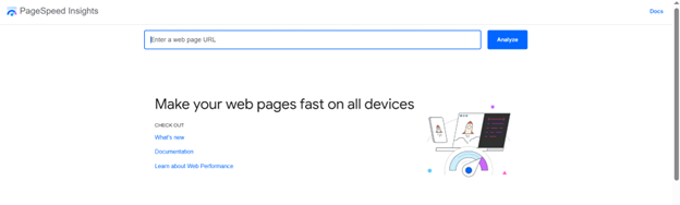PageSpeed Insights