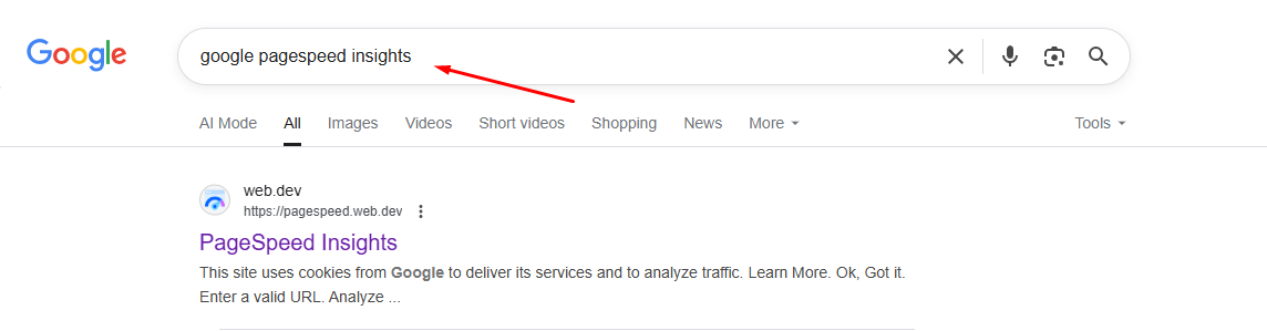 Search Google PageSpeed Insights on Search Bar