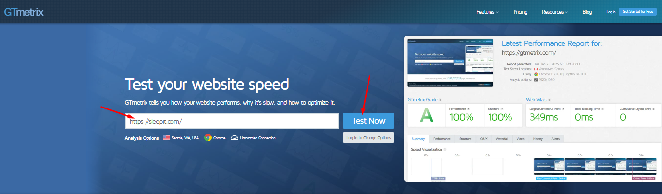 Enter your store URL and start the test